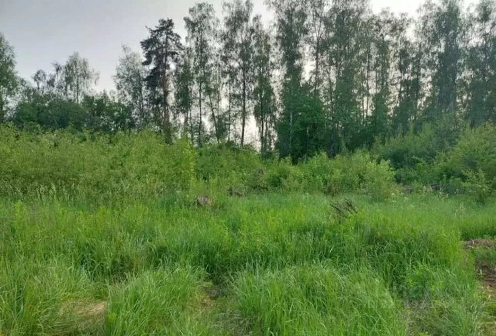 Участок в Калужская область, Малоярославец  (10.0 сот.) - Фото 2