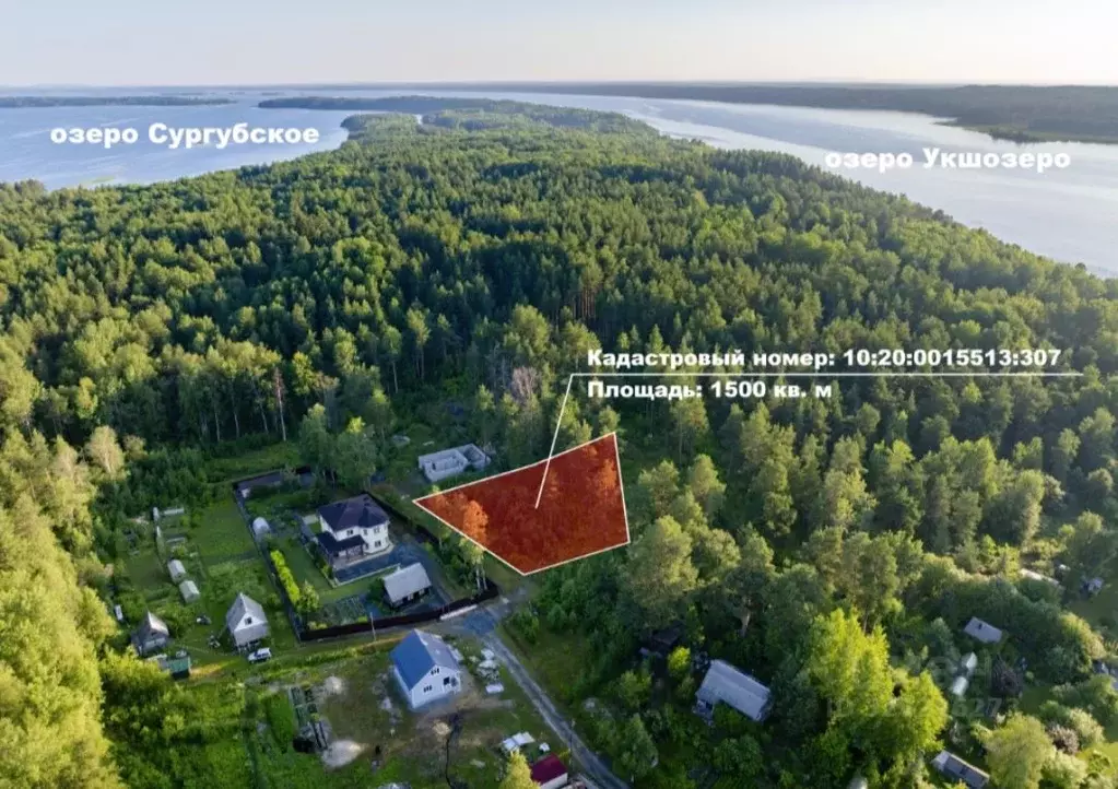 Участок в Карелия, Прионежский район, Шуйское с/пос, Лесовод СНТ пер. ... - Фото 1