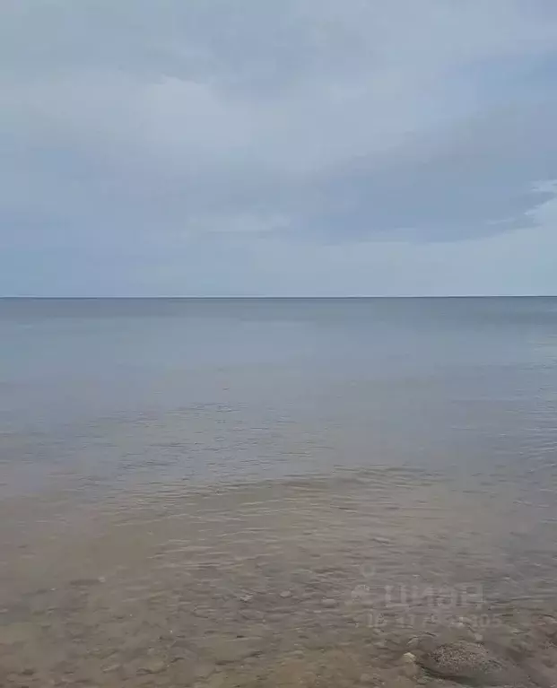 Участок в Псковская область, Гдов городское поселение, д. Надозерье  ... - Фото 2