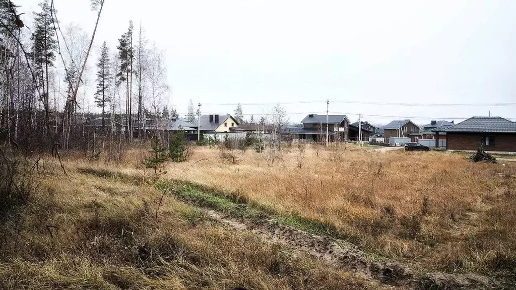 Участок в Воронежская область, Рамонский район, с. Ямное ул. ... - Фото 2
