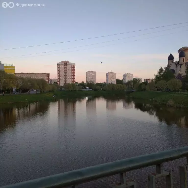 1-комнатная квартира: Санкт-Петербург, улица Козлова, 19к2 (31 м) - Фото 0