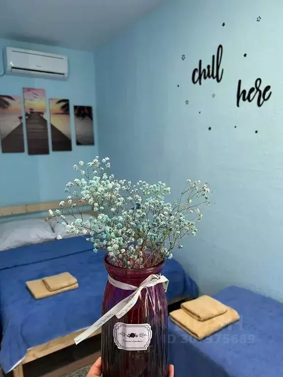 Комната Краснодарский край, Темрюкский район, Голубицкое с/пос, ... - Фото 1