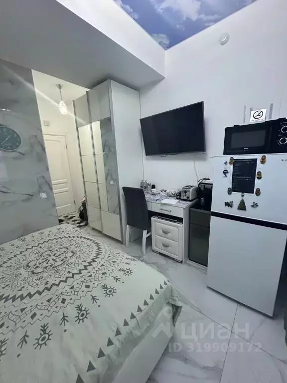 1-к кв. Краснодарский край, Сочи Центральный мкр, пер. Морской, 1/1Б ... - Фото 2