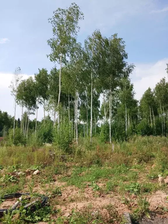 Участок в Московская область, Одинцовский городской округ, д. Синьково ... - Фото 1