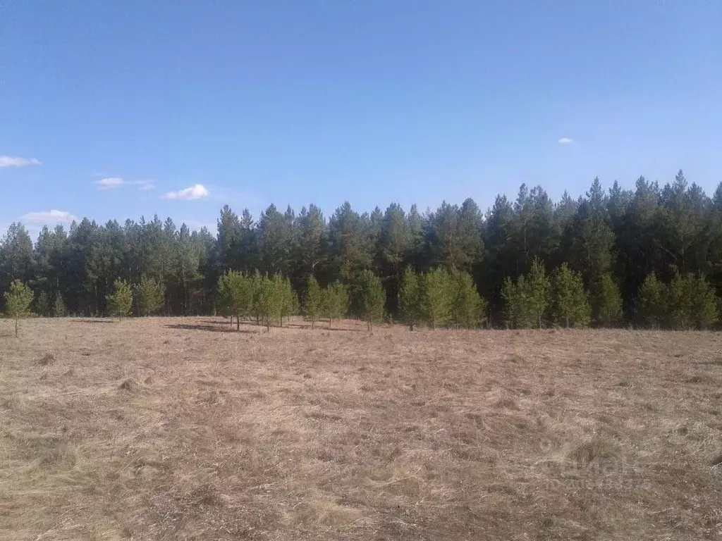 Участок в Свердловская область, Каменский городской округ, д. ... - Фото 0