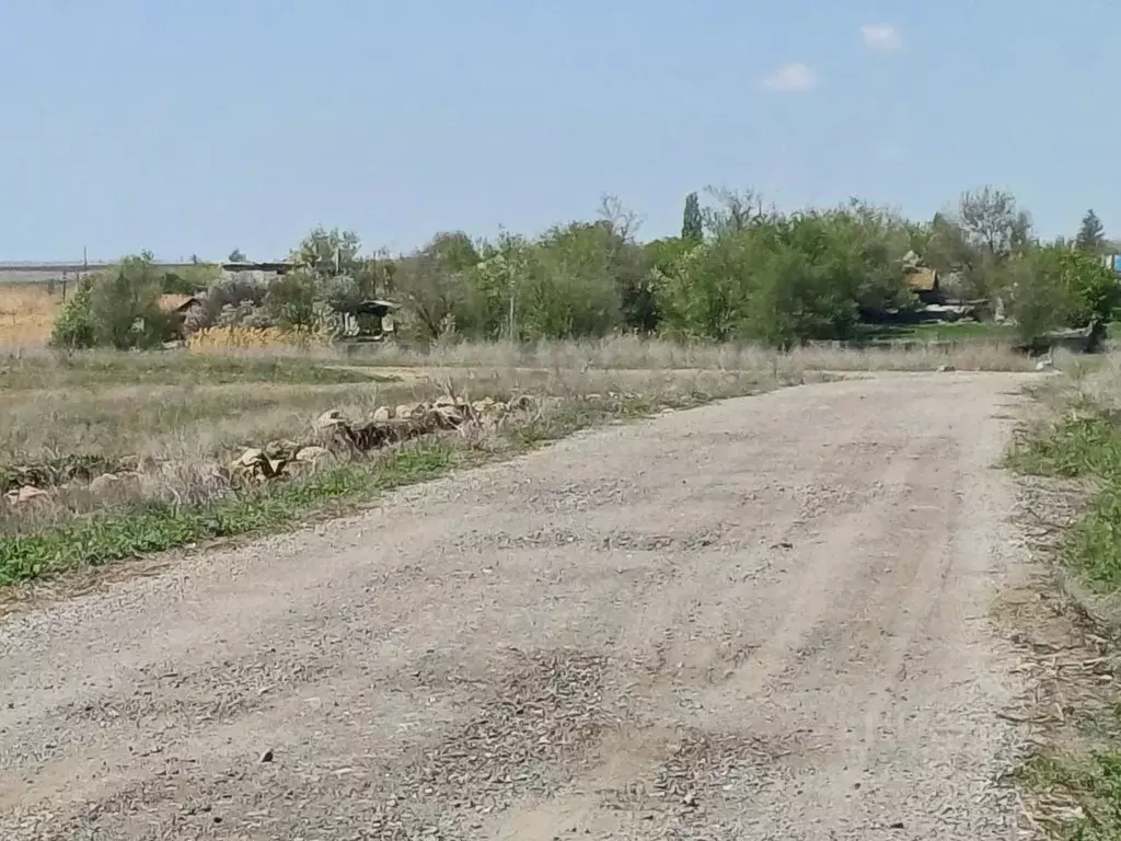 Участок в Волгоградская область, Городищенский район, Россошенское ... - Фото 1