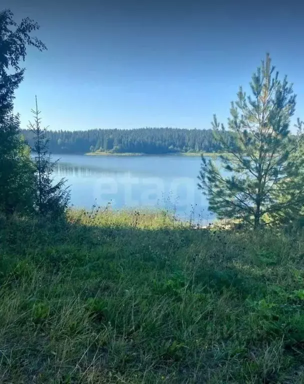 Участок в Пермский край, Добрянский муниципальный округ, Полазна рп ... - Фото 1