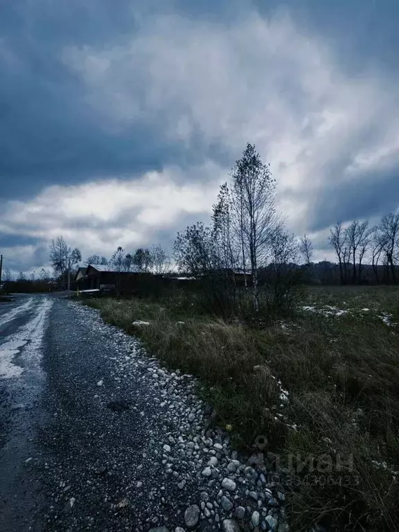 Участок в Алтай, Майминский район, пос. Дубровка ул. Сафронова (20.0 ... - Фото 2