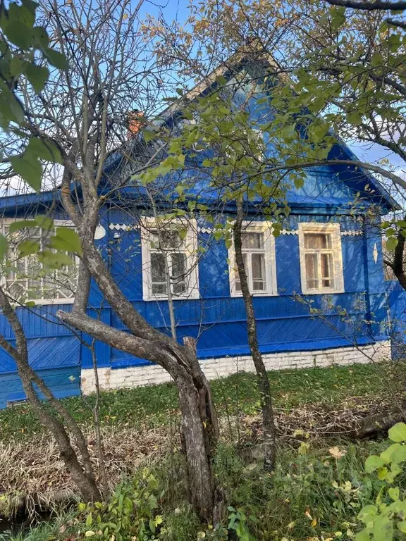 Дом в Новгородская область, Старая Русса ул. Мира (56 м) - Фото 1