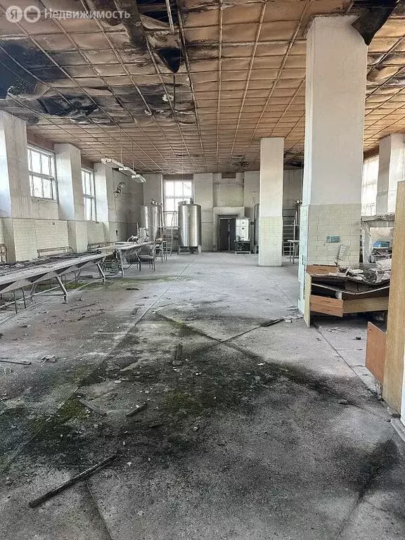Производственное помещение (300 м) - Фото 1