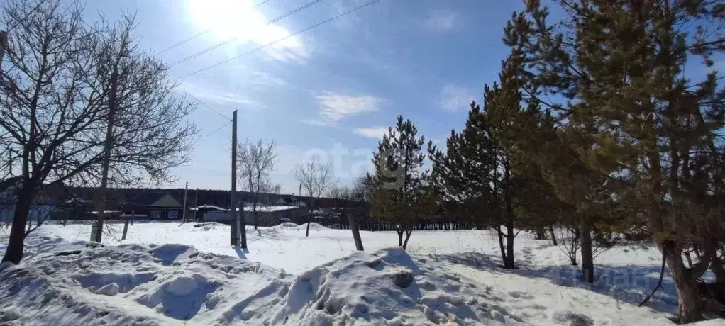 Участок в Свердловская область, Талица ул. Омутова (13.5 сот.) - Фото 1