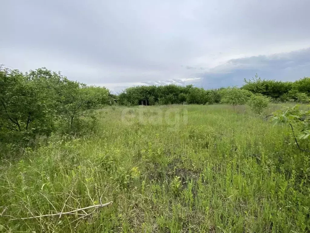 Участок в Белгородская область, Губкин Журавушка СТ,  (6.0 сот.) - Фото 1