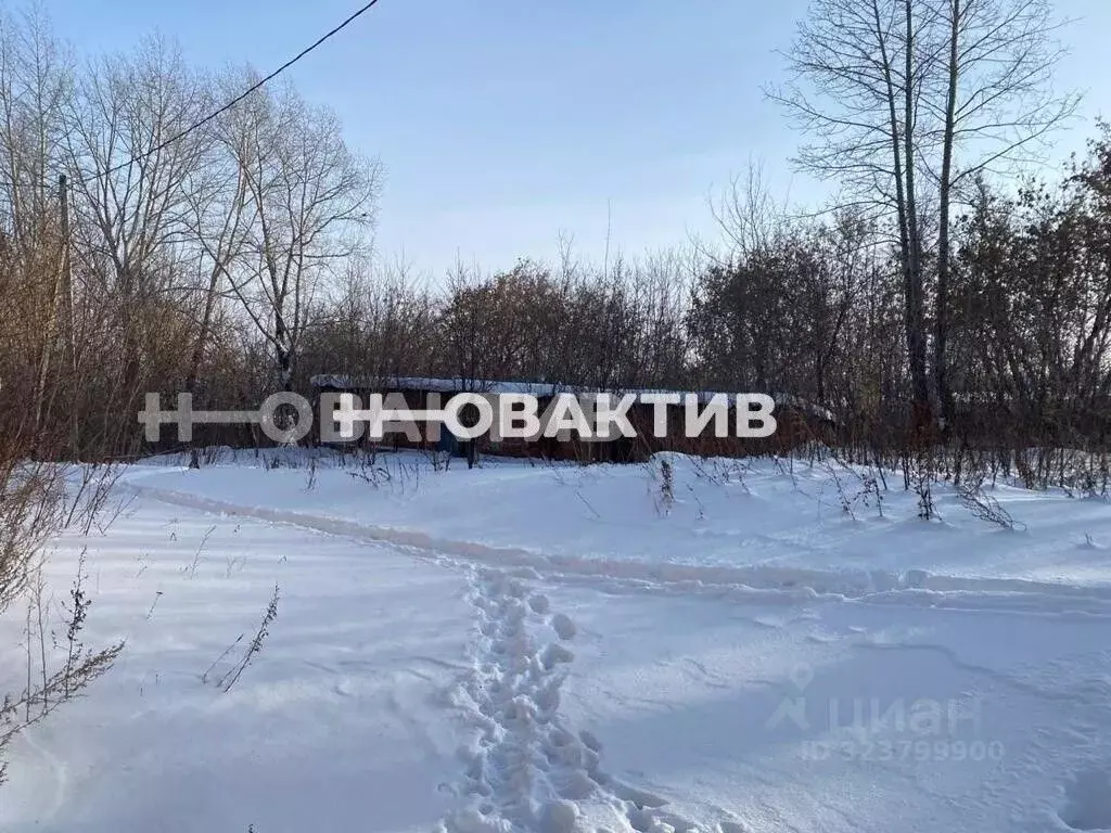 Помещение свободного назначения в Кемеровская область, Юрга ул. ... - Фото 2