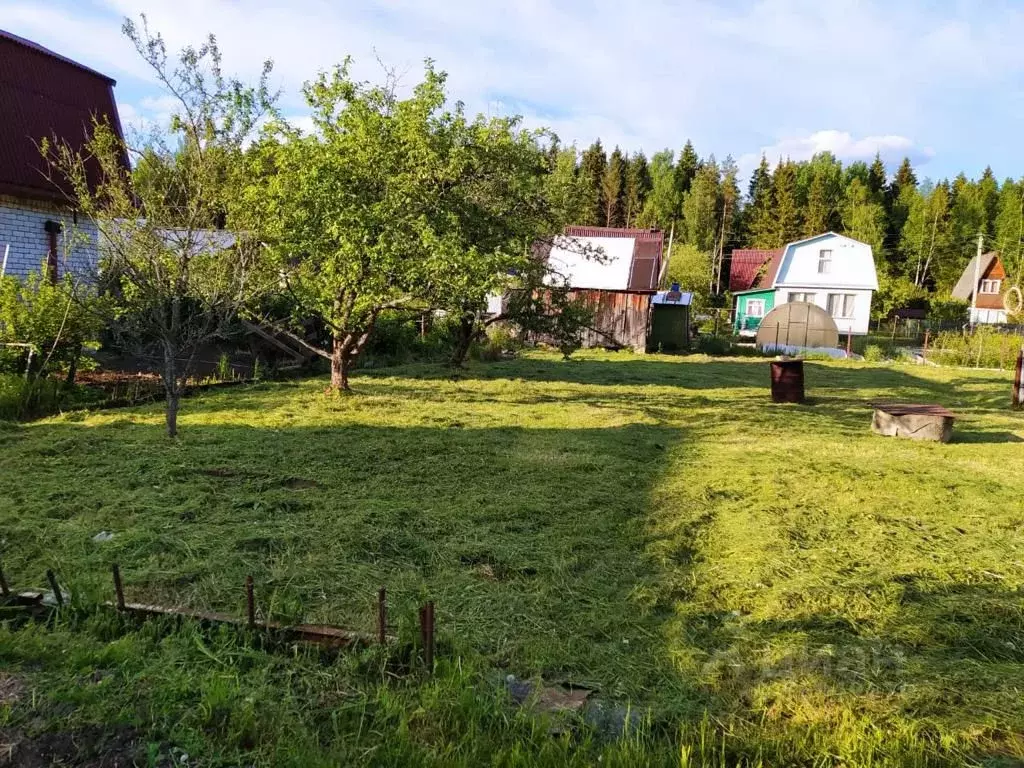 Участок в Тверская область, Конаково городское поселение, Прогресс СНТ ... - Фото 1