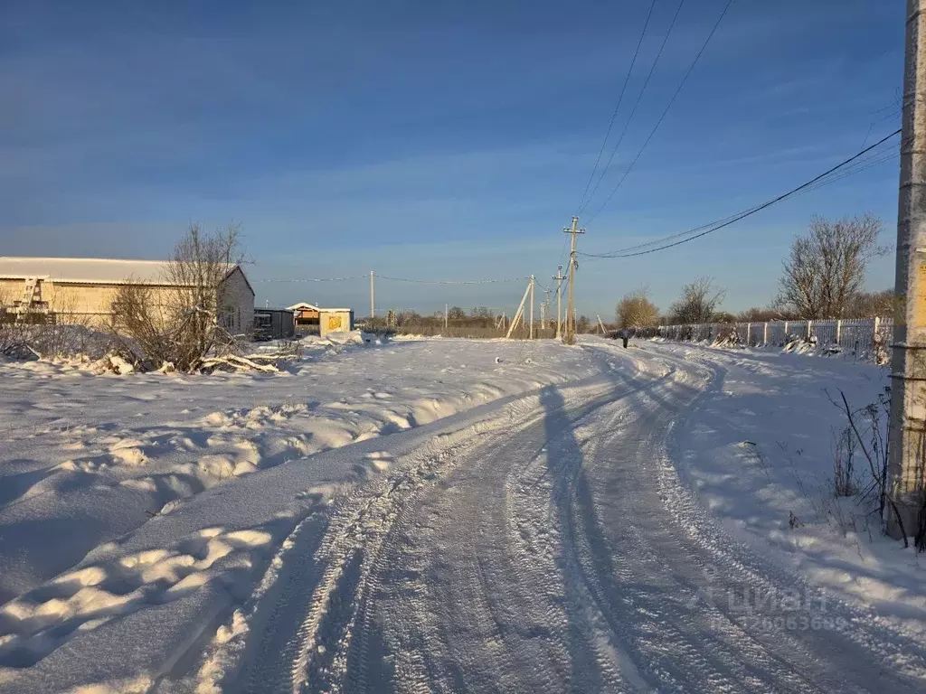 Участок в Ленинградская область, Тосненский район, Красный Бор пгт, ... - Фото 1