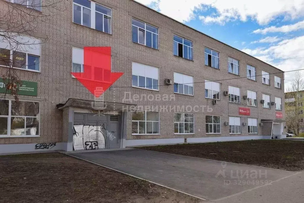 Помещение свободного назначения в Новгородская область, Великий ... - Фото 1