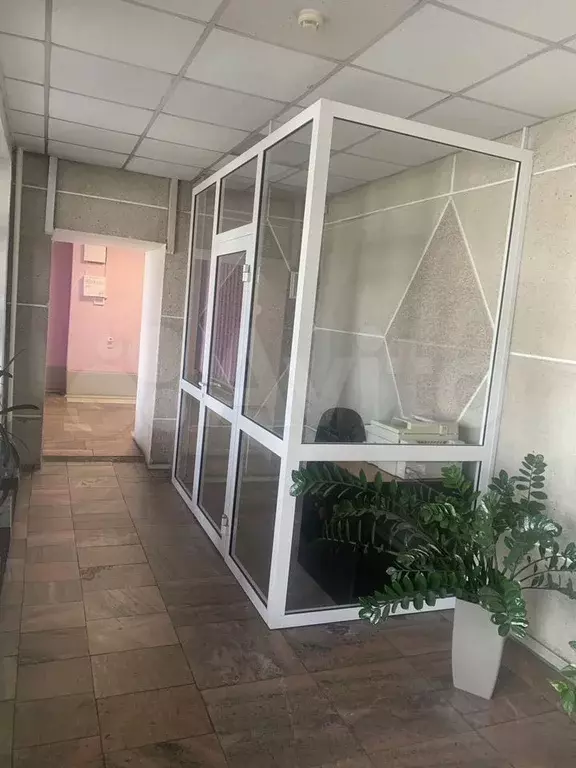 Свободного назначения, 6 м - Фото 1
