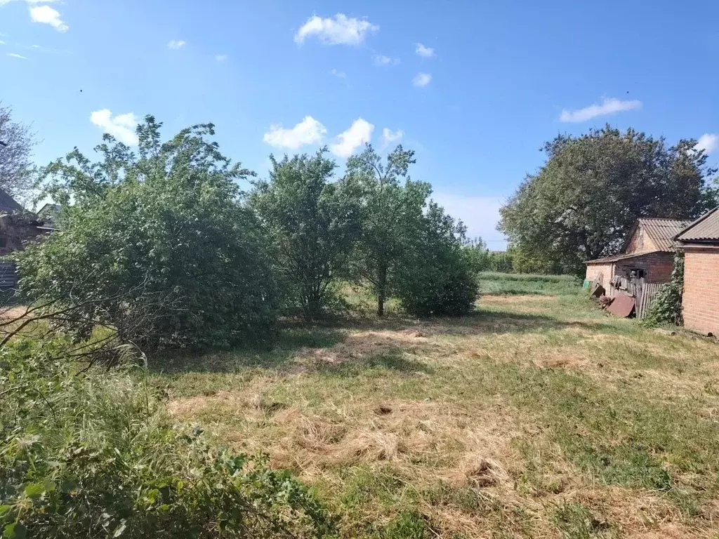 Участок в Краснодарский край, Ейский район, с. Кухаривка ул. Гоголя ... - Фото 0