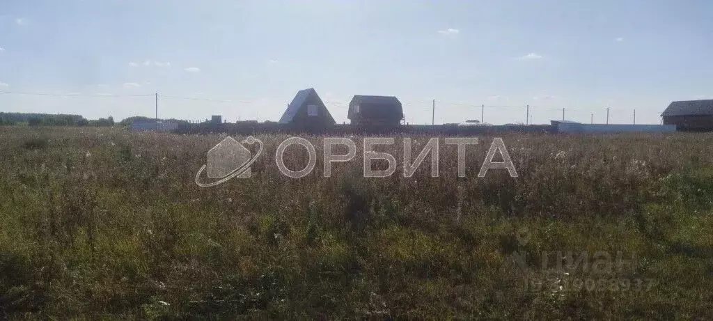 Участок в Тюменская область, Тюменский район, с. Борки ул. ... - Фото 0