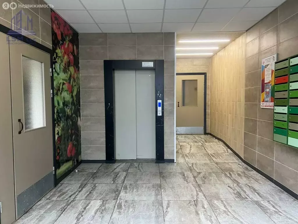 Квартира-студия: Янино-1, Ясная улица, 4 (29 м) - Фото 1