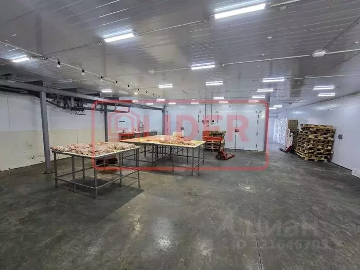 Производственное помещение в Севастополь ул. Паршина, 6 (550 м) - Фото 2