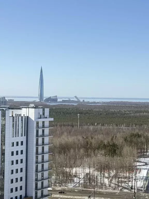 Студия Санкт-Петербург ул. Плесецкая, 10 (24.2 м) - Фото 0