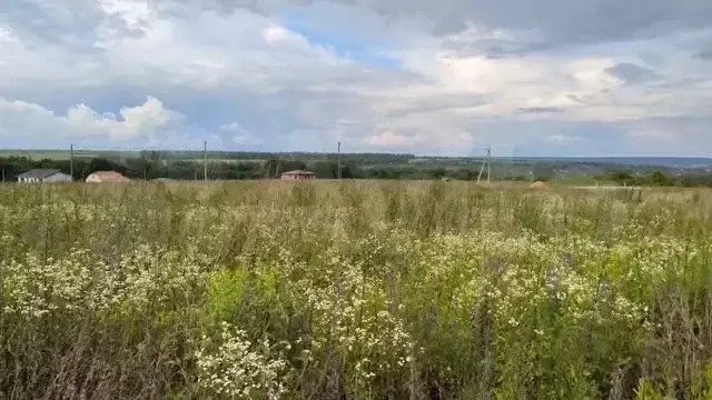 Участок 15,9 сот. (ИЖС) - Фото 1