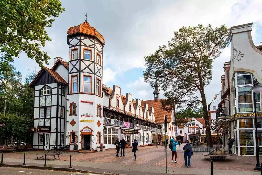 Комната Калининградская область, Светлогорск Центральная пл., 1 - Фото 2