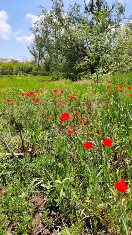 Участок в Ростовская область, Новочеркасск Санаторная ул. (6.0 сот.) - Фото 1