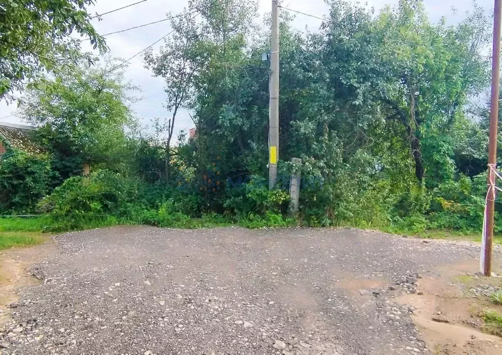 Участок в Нижегородская область, Нижний Новгород Волга СНТ, 15 (5.0 ... - Фото 2