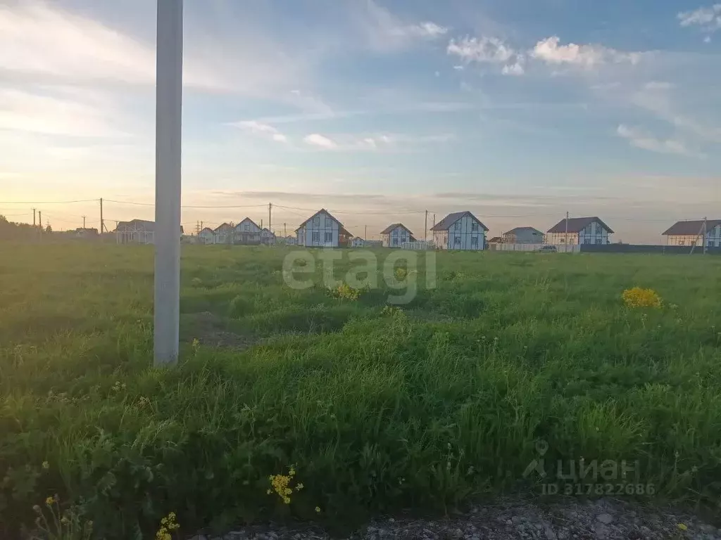Участок в Ленинградская область, Тосненский район, Тельмановское ... - Фото 0