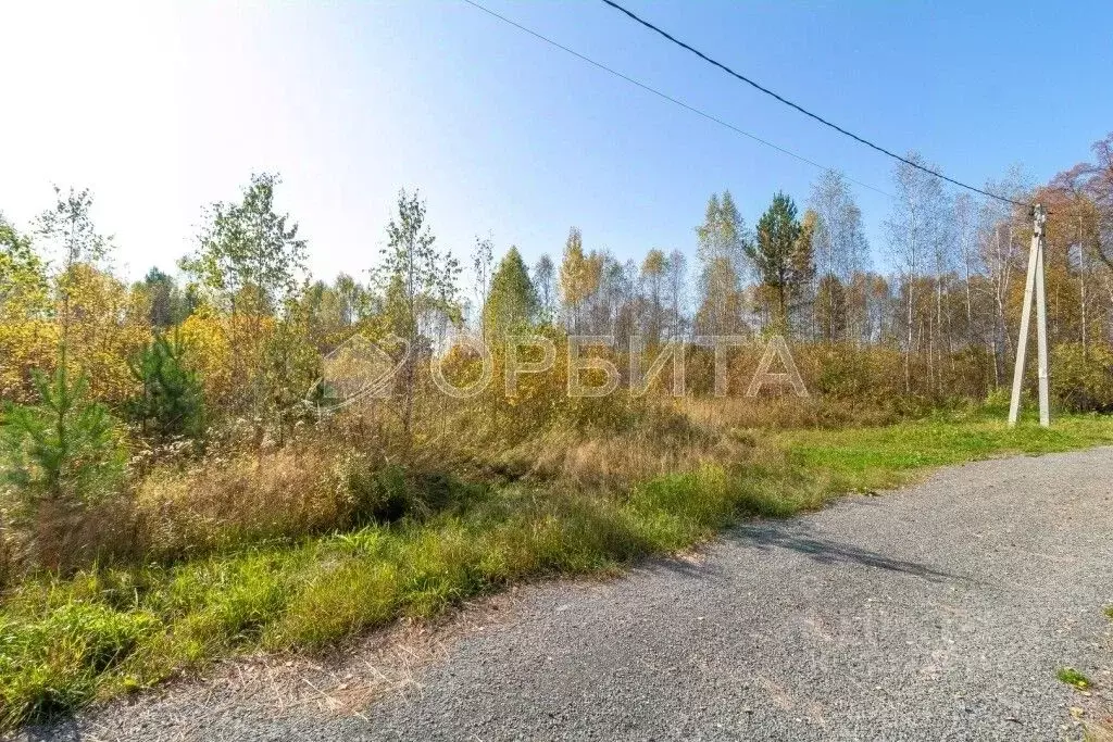 Участок в Тюменская область, Нижнетавдинский муниципальный округ, ... - Фото 2