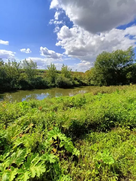Участок в Тульская область, Тула городской округ, пос. Присады 5 (20.0 ... - Фото 1