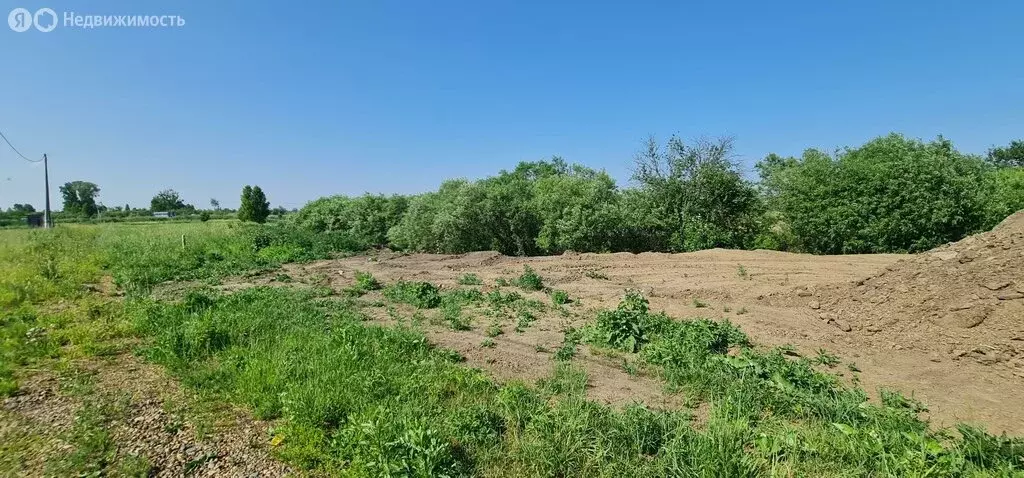 Участок в Томский район, Калтайское сельское поселение, садоводческое ... - Фото 0