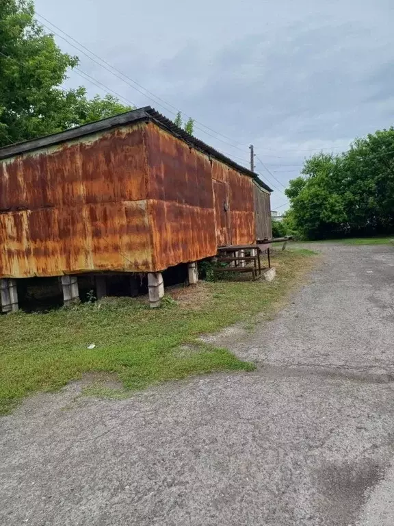 Помещение свободного назначения в Новосибирская область, с. Кочки ул. ... - Фото 1