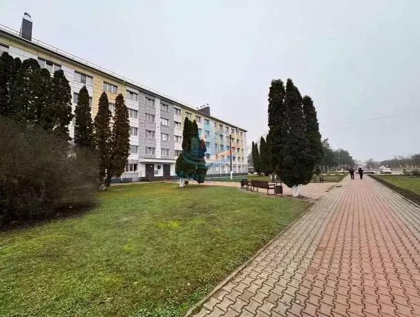 Комната Белгородская область, Шебекино ул. Ленина, 58 (13.0 м) - Фото 2
