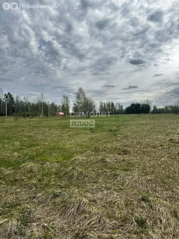 Участок в Орехово-Зуевский городской округ, деревня Грибчиха (10 м) - Фото 1