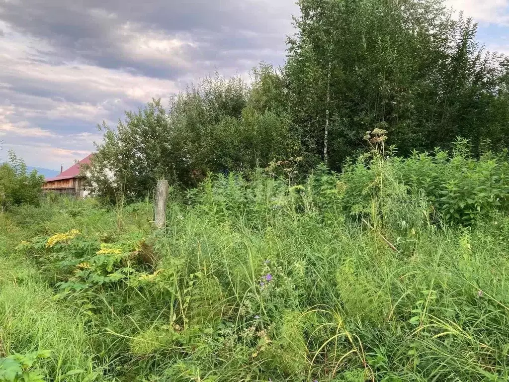 Участок в Алтай, Горно-Алтайск Меркурий садоводческое товарищество,  ... - Фото 1