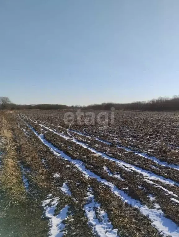 Участок в Сахалинская область, Анивский городской округ, с. Таранай  ... - Фото 1