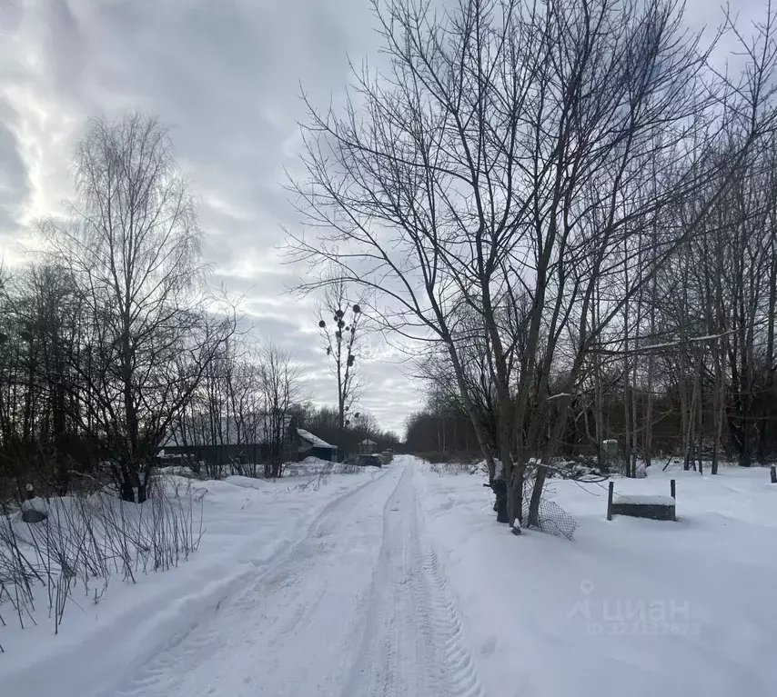 Участок в Калининградская область, Калининград ул. Северодвинская (6.0 ... - Фото 2