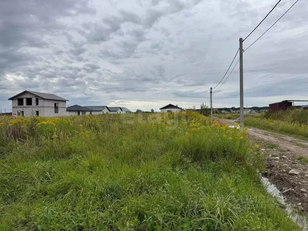 Участок в Калининградская область, Зеленоградский муниципальный округ, ... - Фото 1