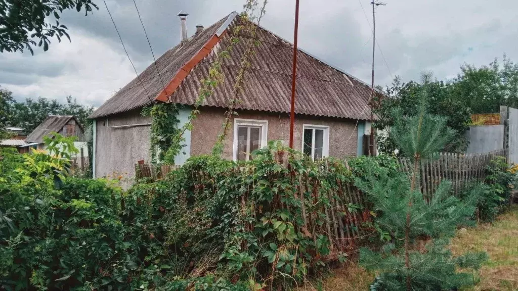 Дом в Белгородская область, Шебекинский городской округ, с. Ржевка ул. ... - Фото 1