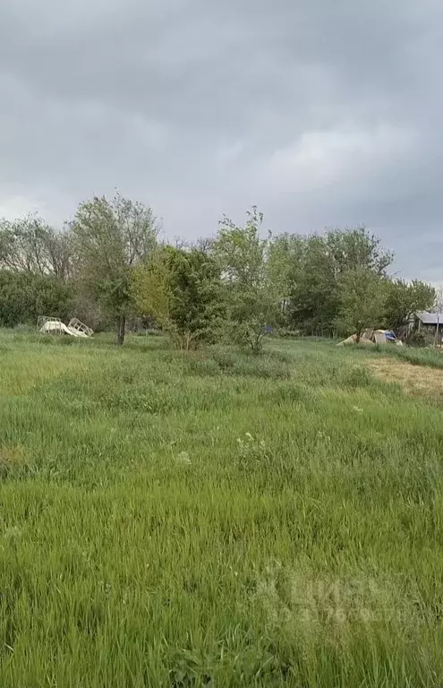 Участок в Ростовская область, Родионово-Несветайский район, ... - Фото 1
