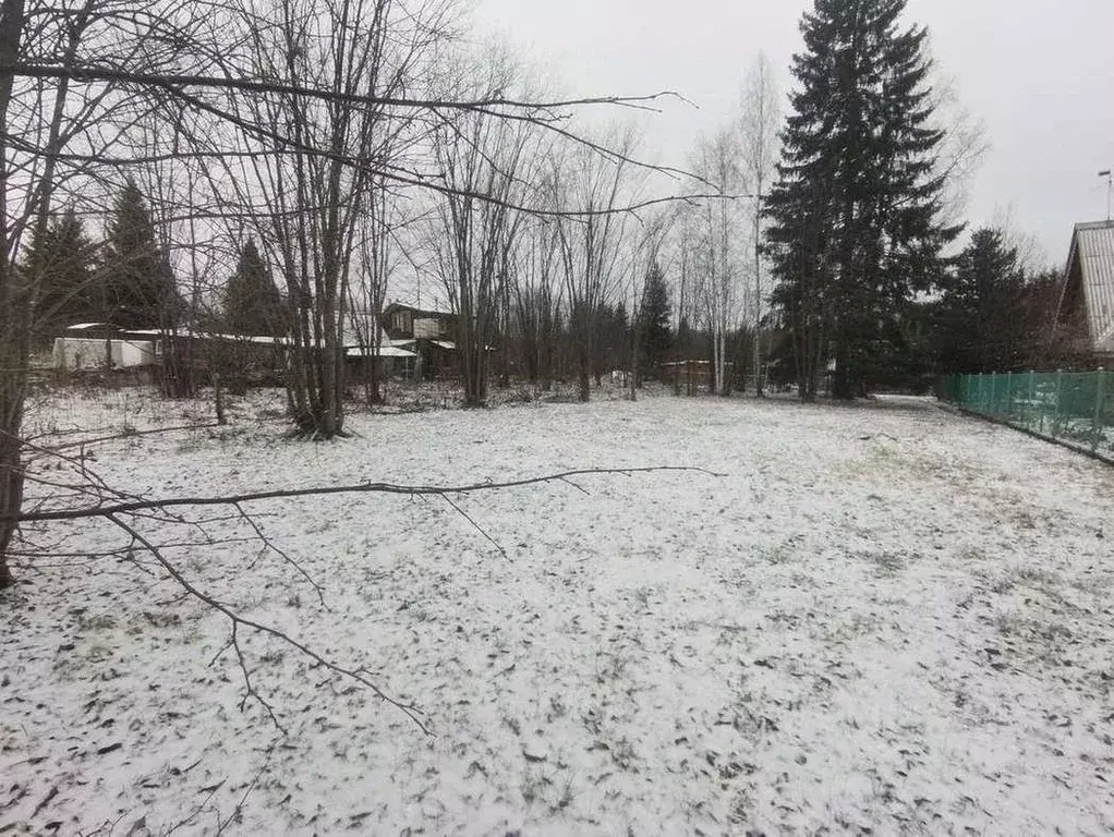 Участок в Пермский край, Пермский муниципальный округ, Чистые Ключи ... - Фото 0