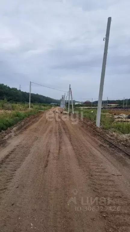 Участок в Амурская область, Благовещенский район, с. Чигири ул. Мира ... - Фото 0