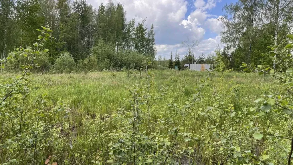 Участок в Ленинградская область, Кировский район, Мгинское городское ... - Фото 1