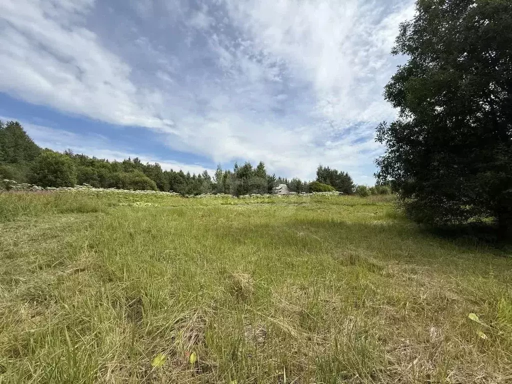 Участок в Вологодская область, д. Игнатово  (14.0 сот.) - Фото 1