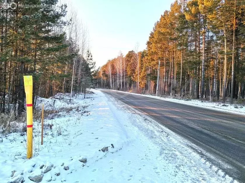 Участок в Нижнетавдинский район, село Тюнево (12 м) - Фото 0