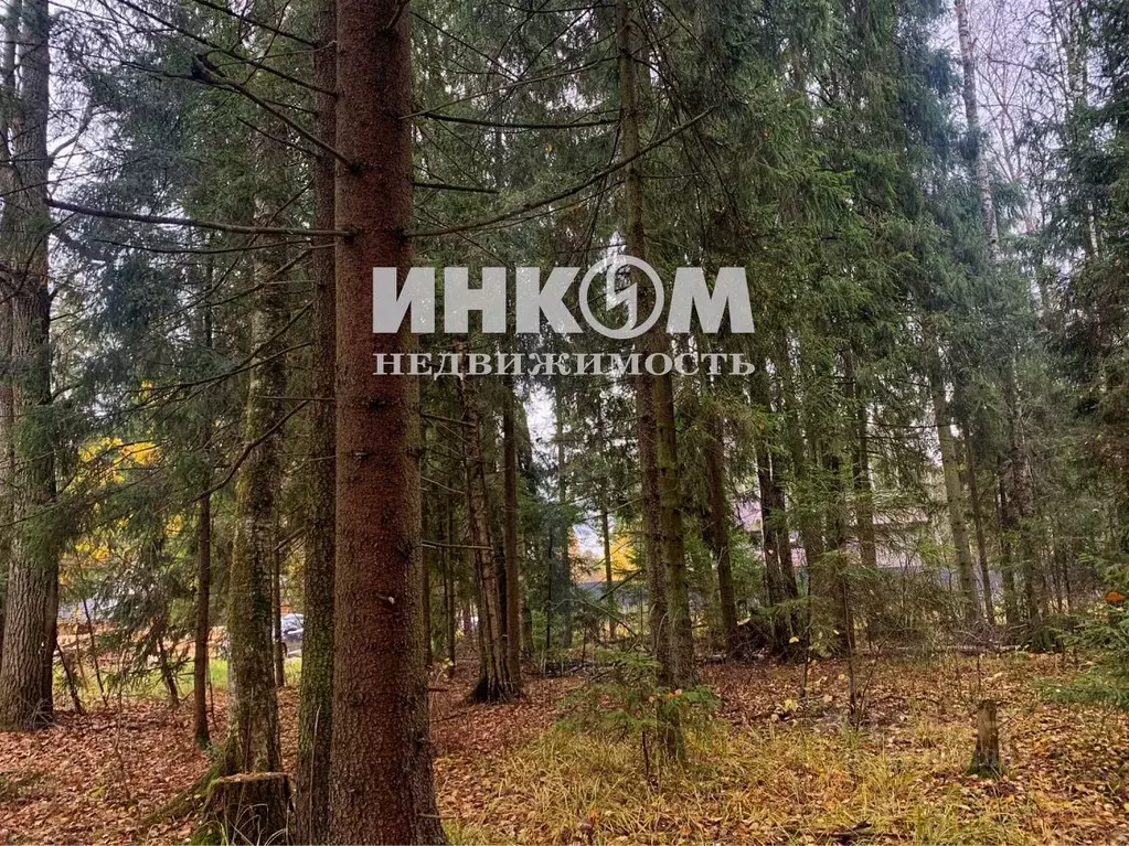 Участок в Москва Европейская долина-2 ДНП,  (12.0 сот.) - Фото 1