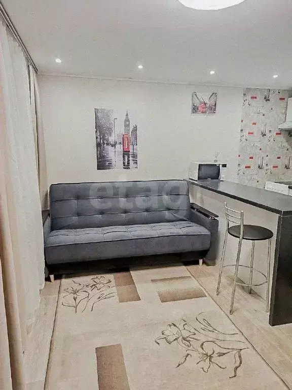 Студия Ярославская область, Ярославль ул. Бабича, 2 (25.7 м) - Фото 1